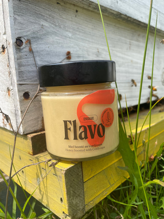 Pot de miel cru crémeux boosté au Cordyceps - Forêt