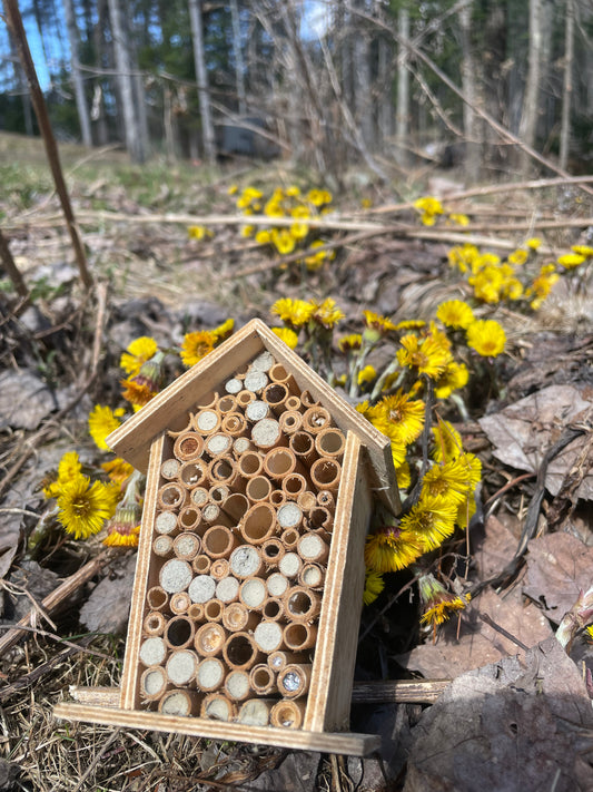 Semences et hôtel pour pollinisateurs