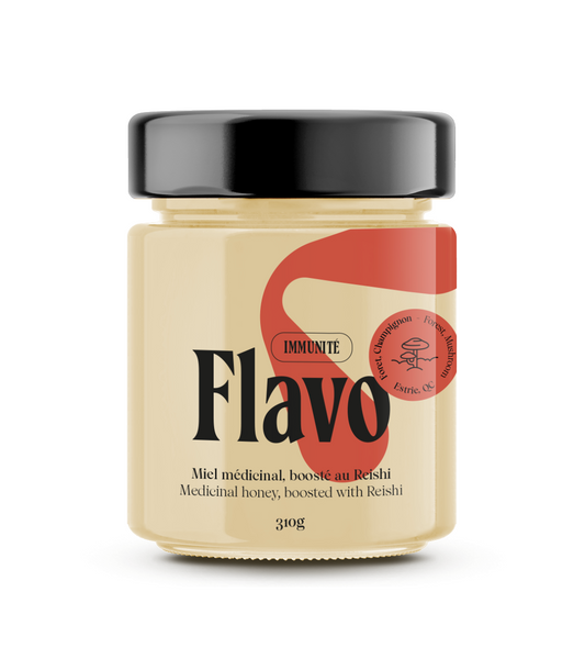 Pot of creamy raw honey boosted with Reishi - Forest