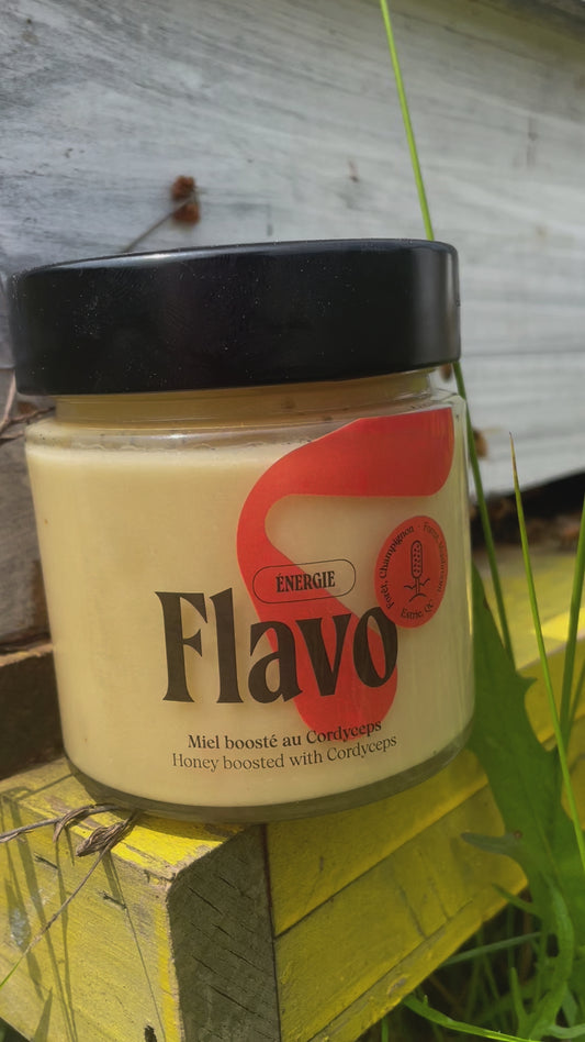 Pot de miel cru crémeux boosté au Cordyceps - Forêt