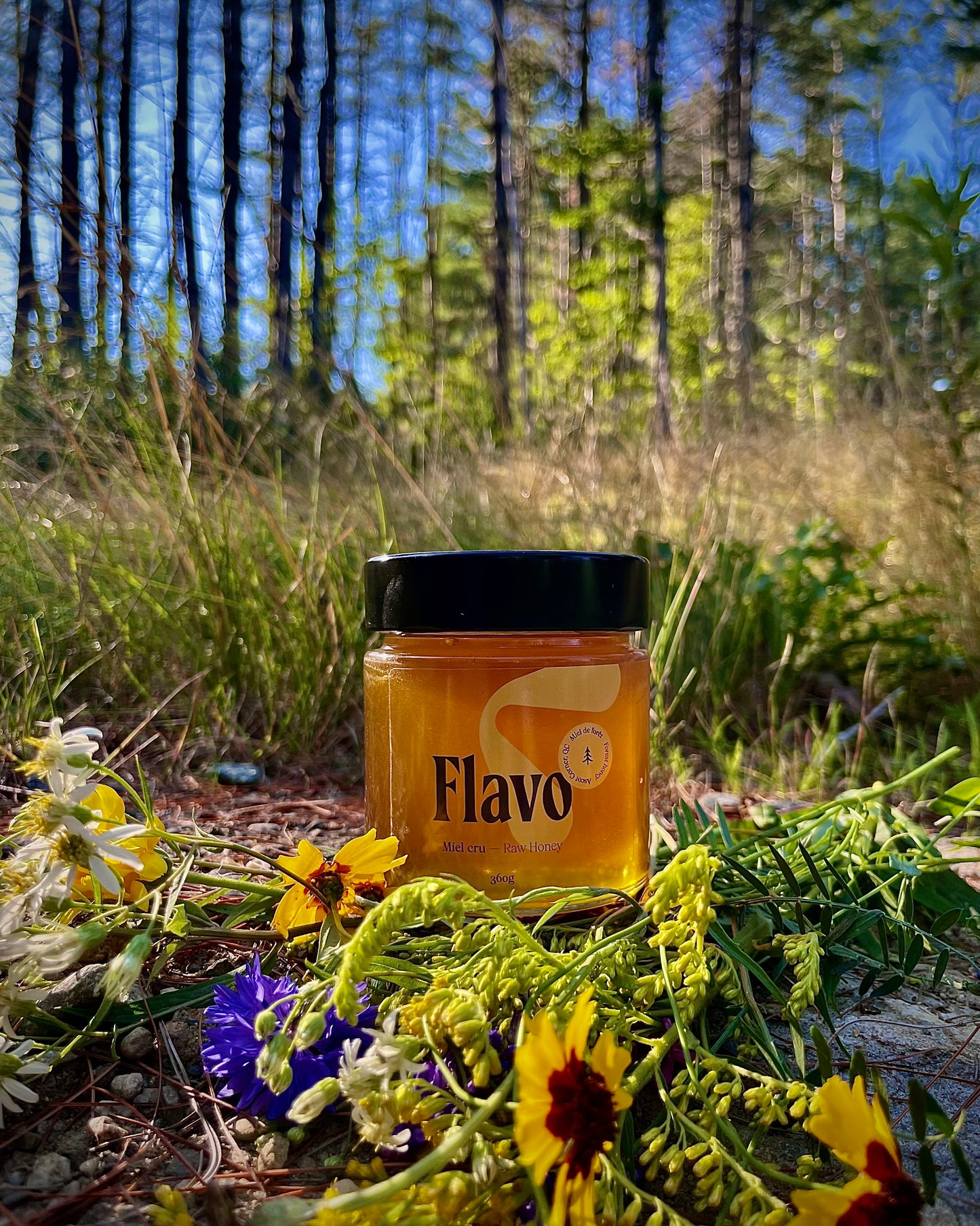 Pot of liquid raw honey - Estrie - Forest