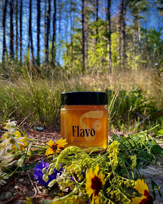 Pot of liquid raw honey - Estrie - Forest