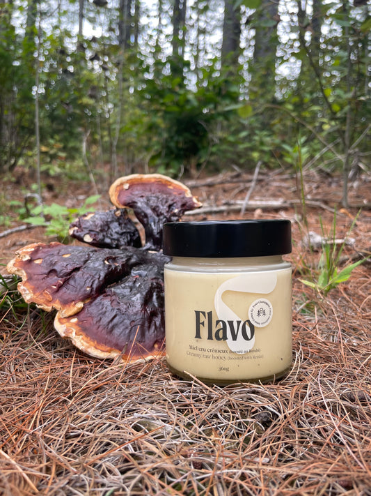 Pot of creamy raw honey boosted with Reishi - Forest