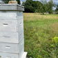 Kit de démarrage en apiculture et journée de formation apicole